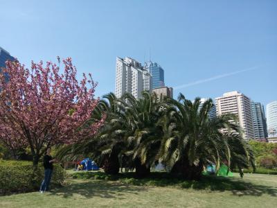 Der Xinhongqiao Central Park, ganz ohne exotische Tiere